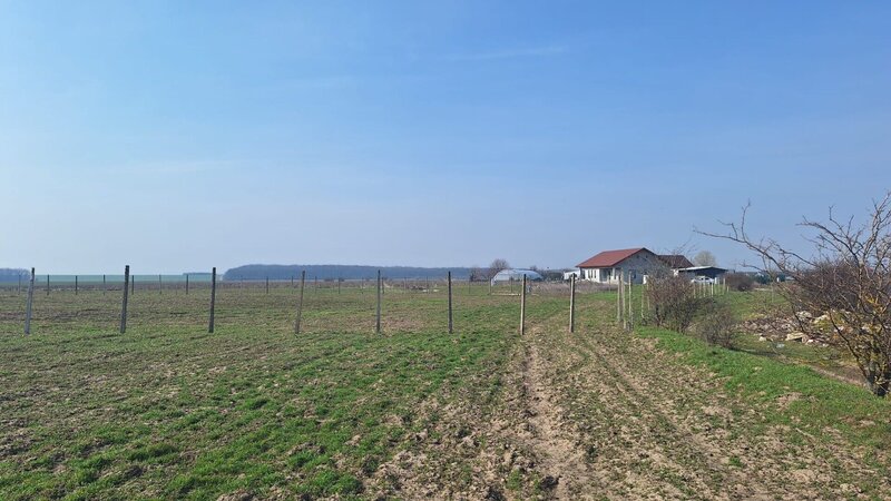 Balaceanca Teren intravilan