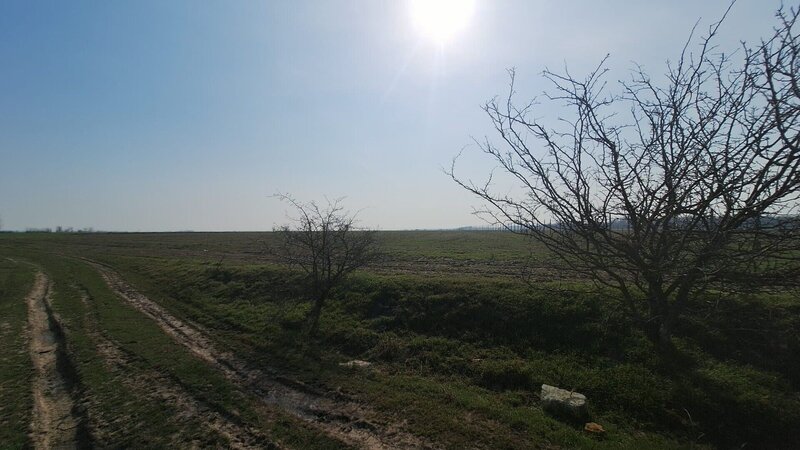 Balaceanca Teren intravilan