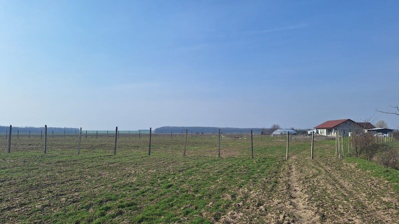 Balaceanca Teren intravilan